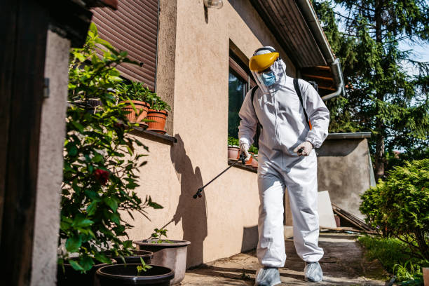 Reliable Nicholls, GA Pest Control Solutions