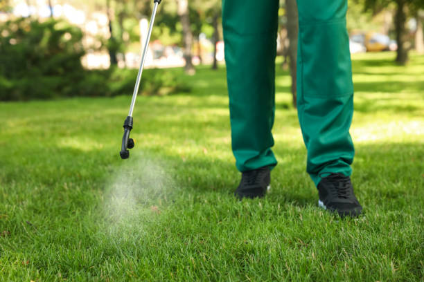 Best Pest Removal Services  in Nicholls, GA