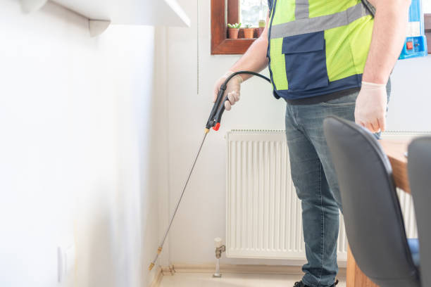 Best Wasp Removal Services  in Nicholls, GA