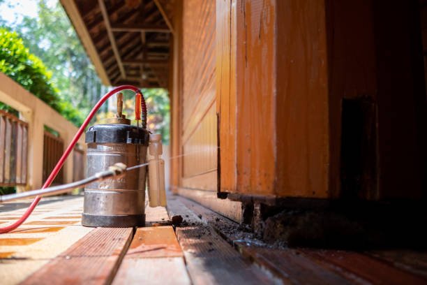 Best Ant Control Services  in Nicholls, GA