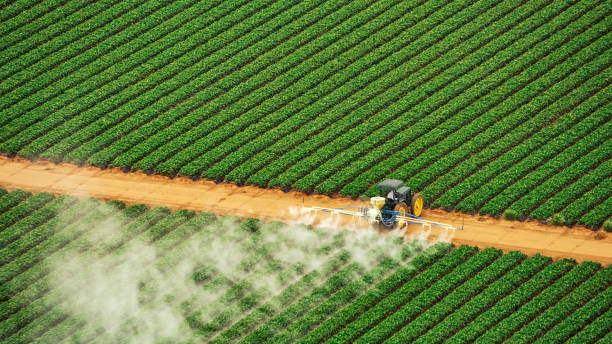 Best Exterminator Services  in Nicholls, GA