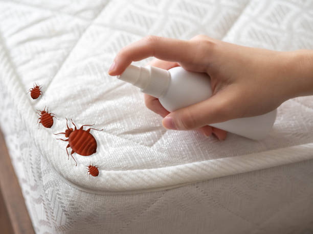 Best Cockroach Control Services  in Nicholls, GA