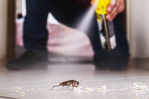 Best Insect Control  in Nicholls, GA