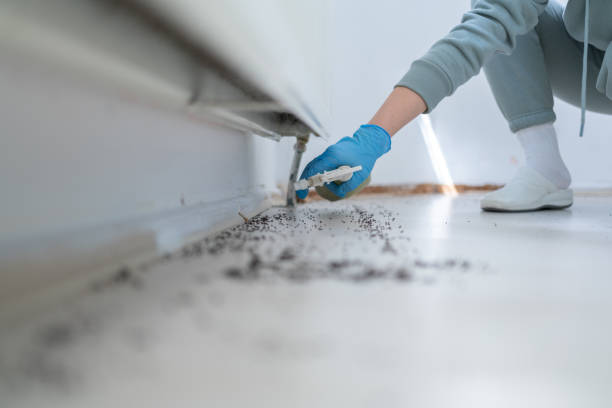 Best Pest Removal Services  in Nicholls, GA