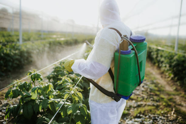 Best Emergency Pest Control  in Nicholls, GA